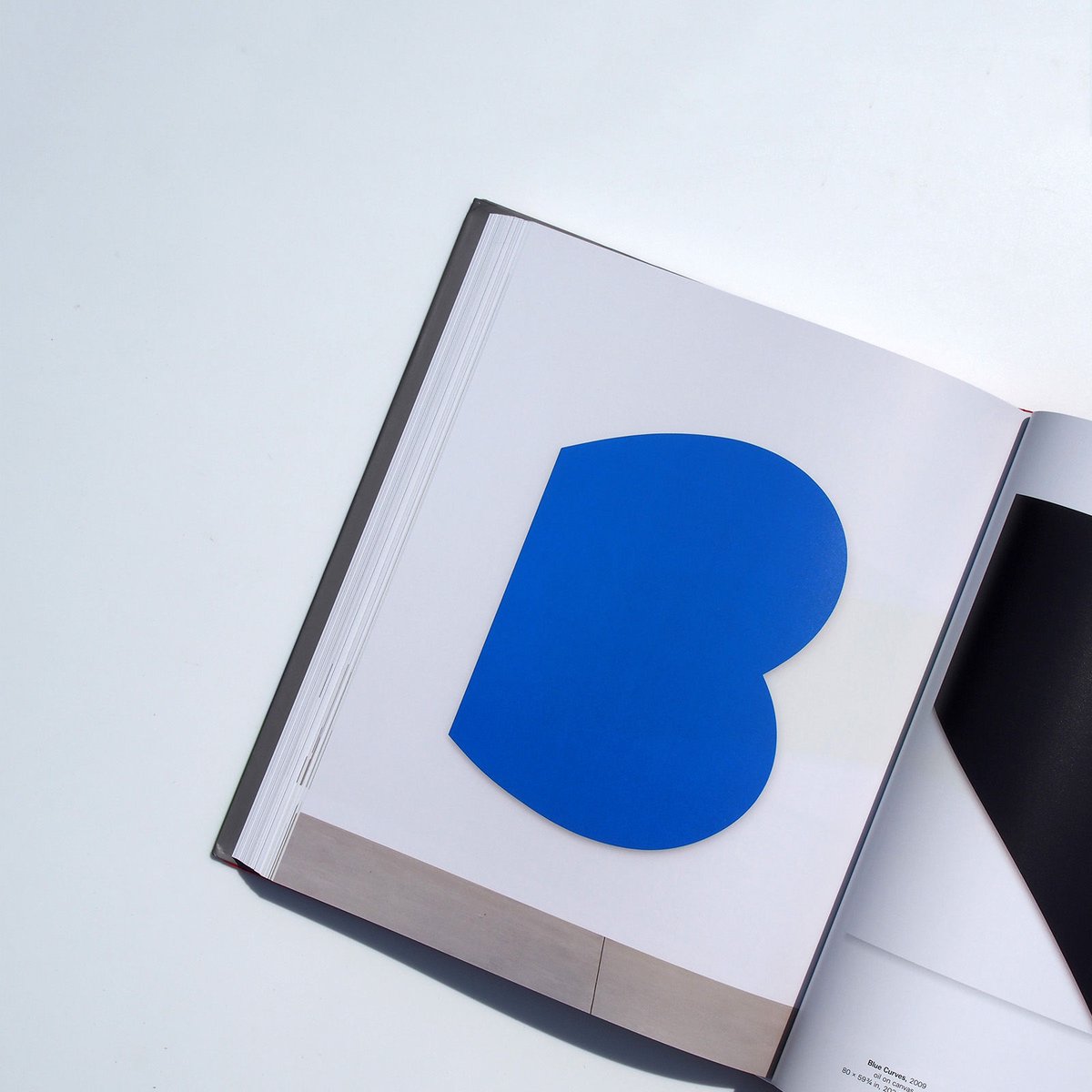Ellsworth Kelly | also PAGE SPREAD
