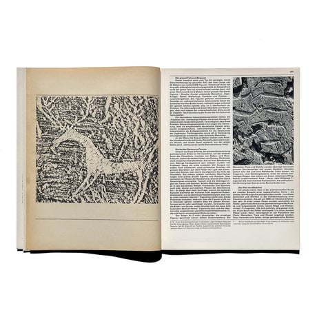 TM SGM RSI 10/1971