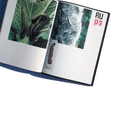 LOUS MARTENS  ANIMAL BOOKS