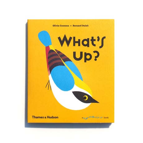 What's Up?