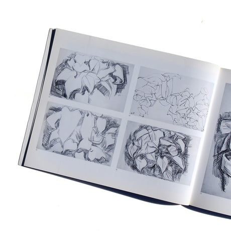 Sol Lewitt : Drawings, 1958-1992