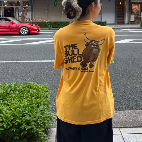 HI CRU BY STEDMAN バックプリントTシャツ