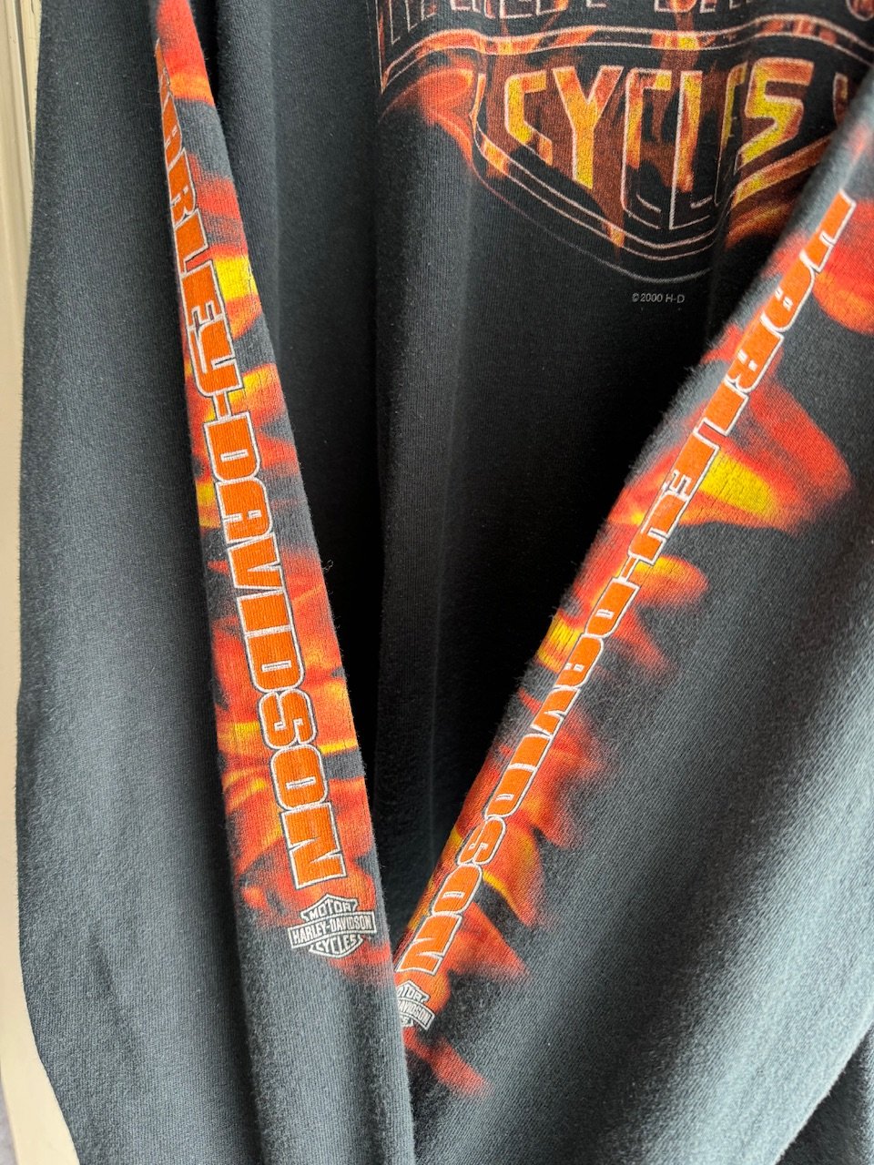 XL HARLEY-DAVIDSON LIGHTNING 袖プリント ロンT XL HARLEY-DAVIDSON LIGHTNING 袖プリント ロンT