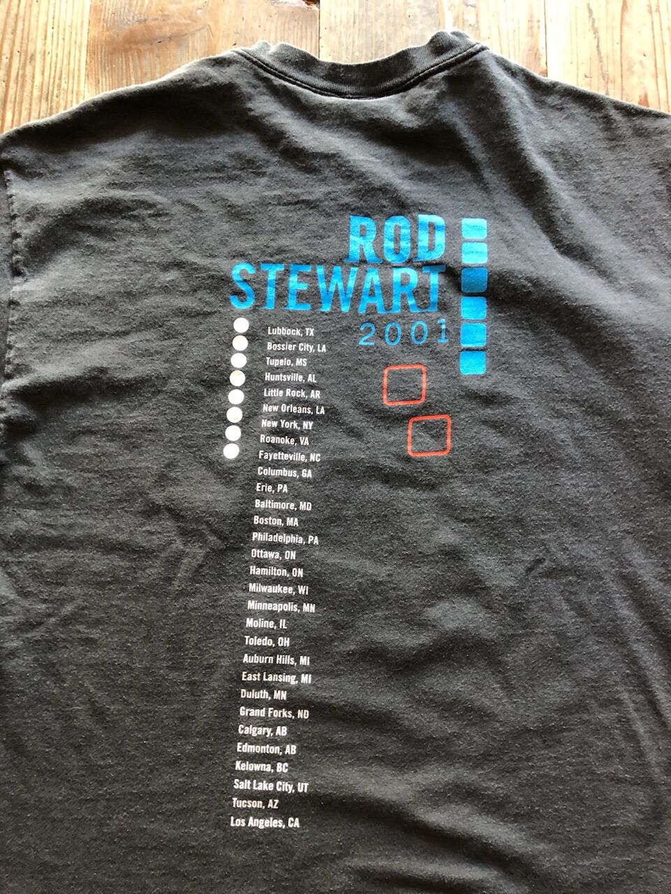 ROD STEWART 2001 tour tシャツ | CUSTOM FEVER