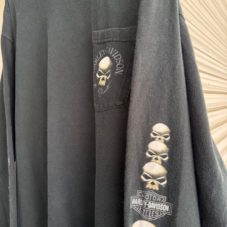 USA製 HARLEY DAVIDSON 袖プリントロンT L