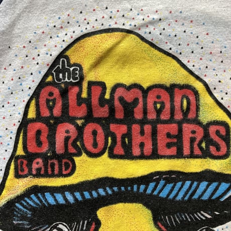 1980年代ラグランスリーブバンドTシャツ THE ALLMAN BROTHERS BAND  M