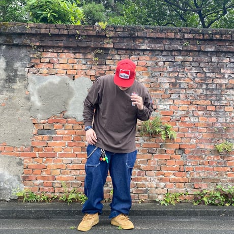 carhartt 胸ポケットワッペンロンT