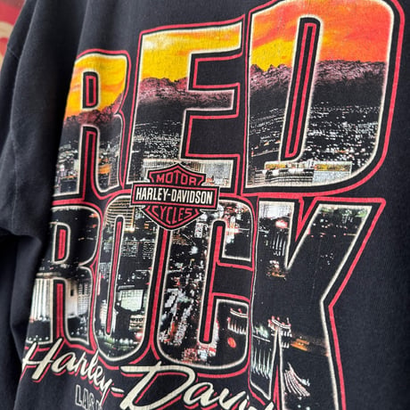 HARLEY DAVIDSON 袖プリントロンT