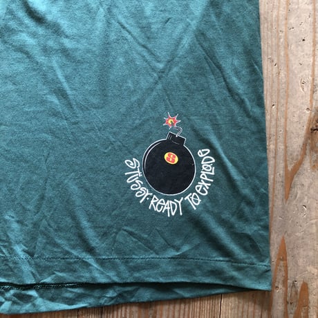 80's オールドSTUSSY ビッグT
