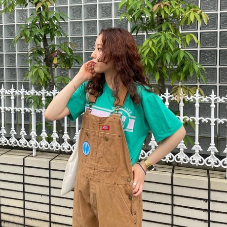 Dickies ダックオーバーオール