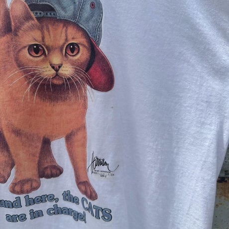 ストリートねこちゃんTシャツ