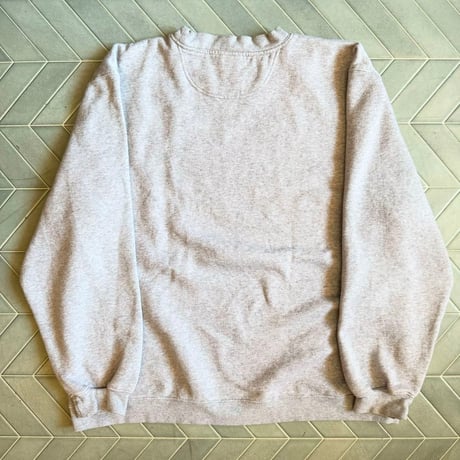 Reebok NFNチームスウェット