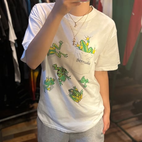 Hanes カエルグラフィックTシャツ