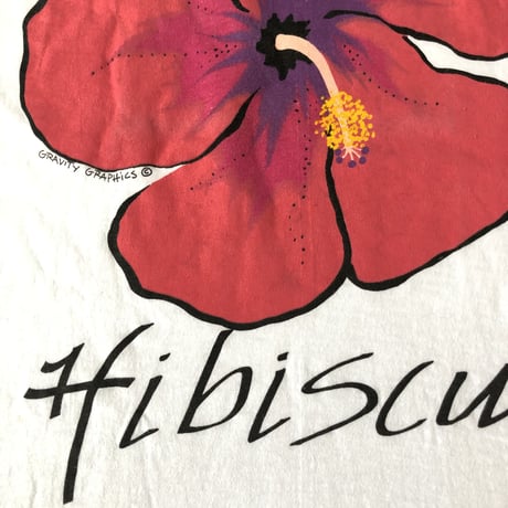 ⭐︎スーパーマグマート 90'sUSA製 Hibiscus