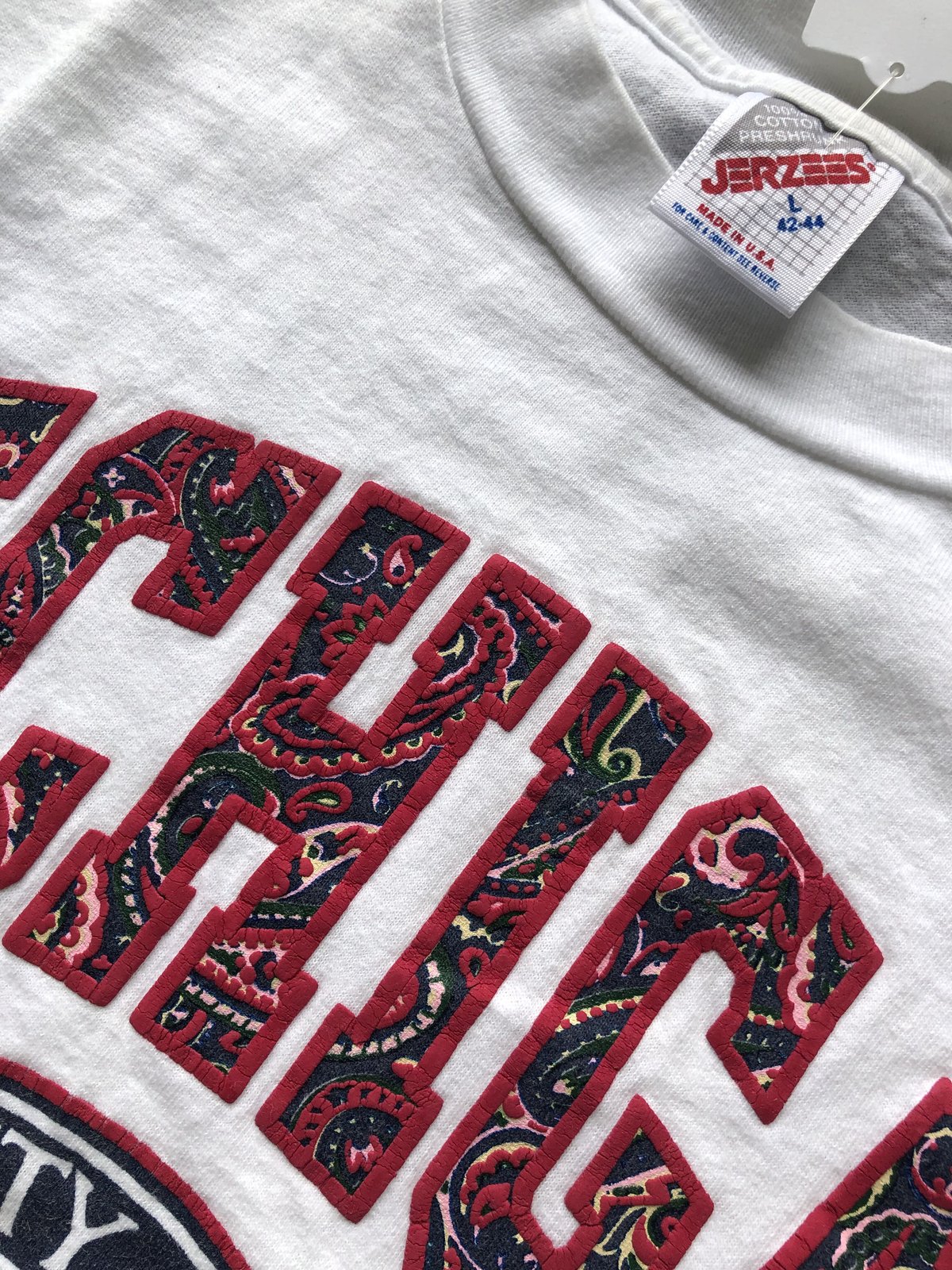 90's USA製 MICHIGAN カレッジTシャツ | CUSTOM FEVER