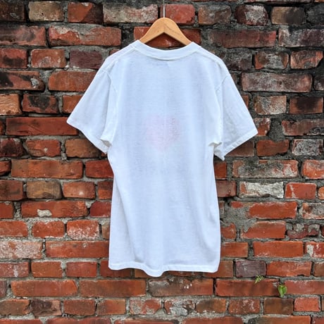 USA製 AMERICA PROJECT カレッジTシャツ