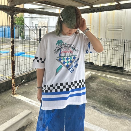 USA製 WISCONSIN DELLS フラミンゴTシャツ