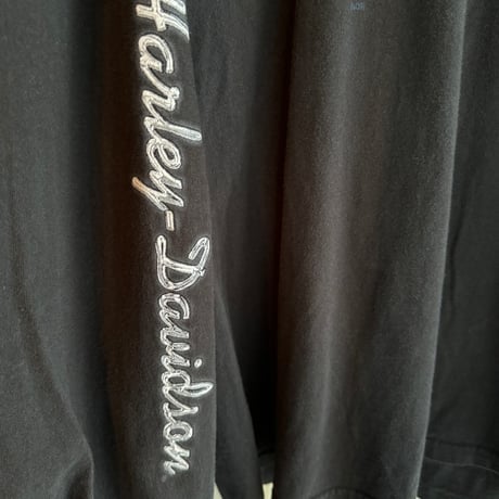 USA製HARLEY DAVIDSON × LOONEY TUNES