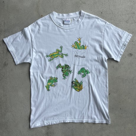 Hanes カエルグラフィックTシャツ