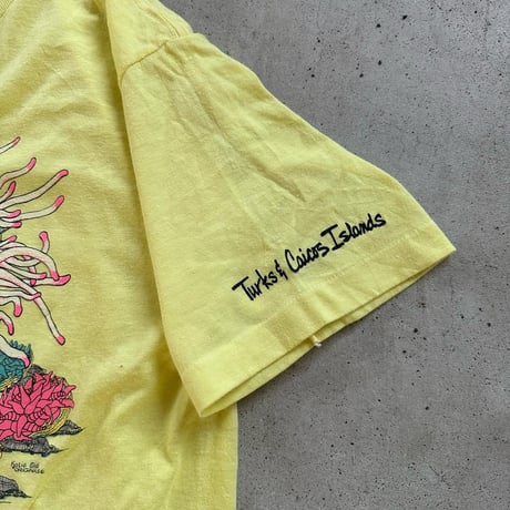 USA製 ニモTシャツ