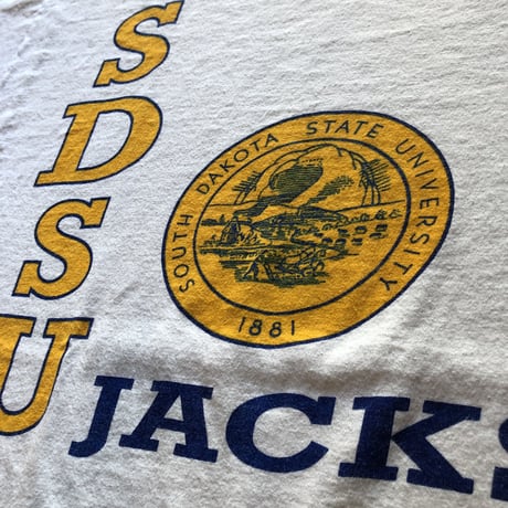 〜80年代チャンピオン染み込みプリントTシャツ　L