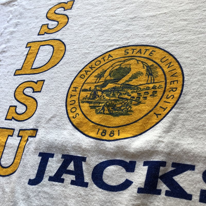 チャンピオン　Ｔシャツ　染込プリント 中古・古着通販】Champion (チャンピオン) 染み込みプリントリンガーT