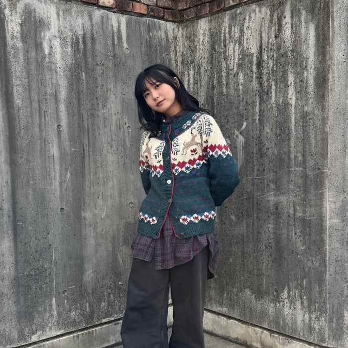 D221166 80s WOOL RICH ノルディック柄 カーディガン D221166 80s WOOL RICH ノルディック柄 カーディガン Woolrich