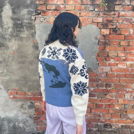 American Eagleペンギンニット