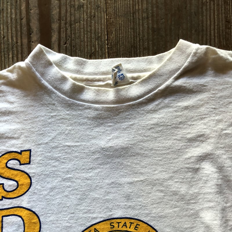 80年代チャンピオン染み込みプリントTシャツ L | CUSTOM FEVER