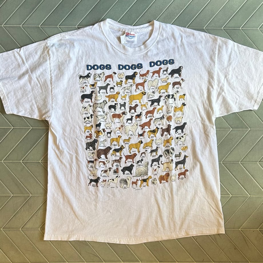 66407519c650085f282c9e10