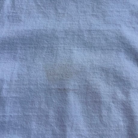 USA製 Walt Disney World ミッキー×プルート Tシャツ