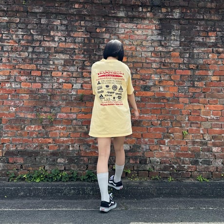 anvil 90s トライアスロンTシャツ