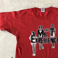 ⭐︎スーパーマグマート The Mr. T Experience バンドtシャツ