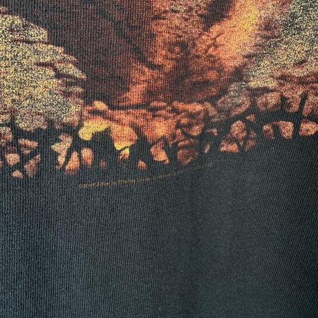ALICE IN CHAINS〝DIRT〟プリントTシャツ