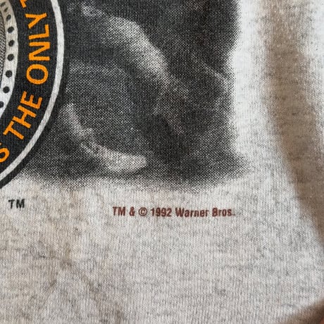 90s USA製 NFL×タズプリントスウェット