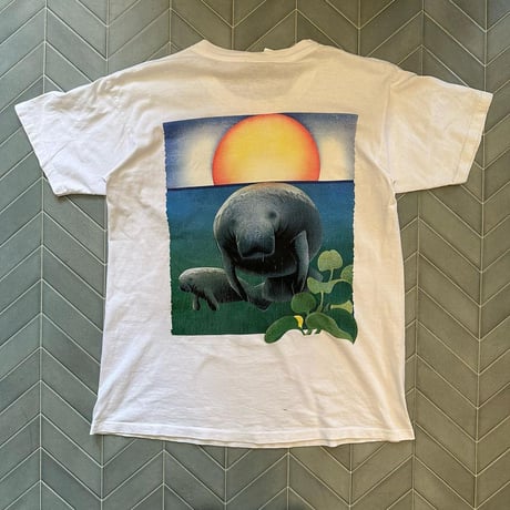 USA製Earth両面Tシャツ🌏