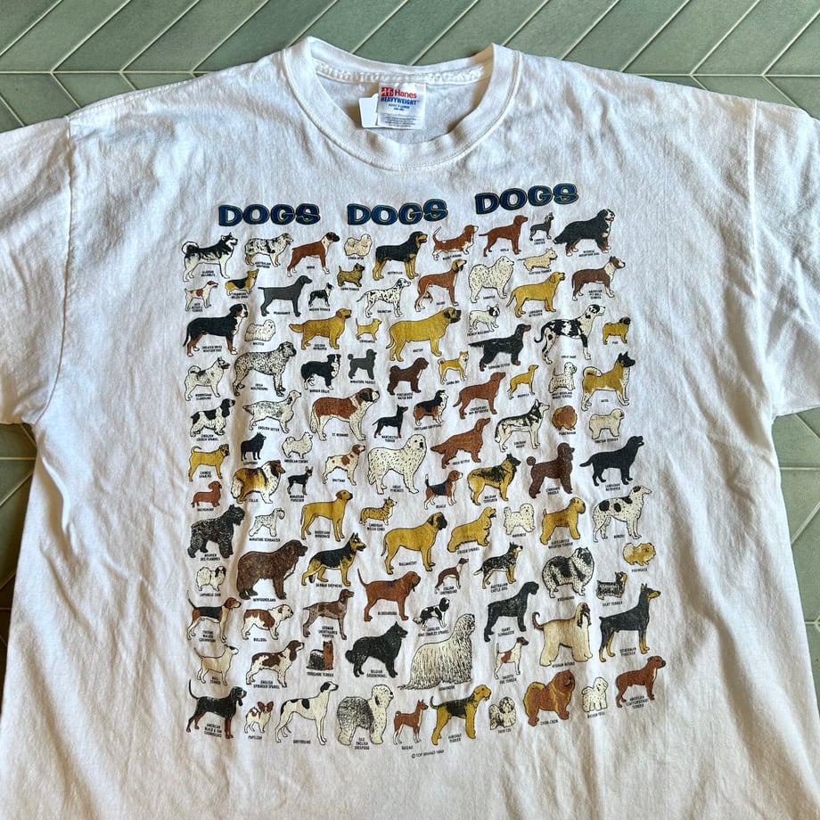 66407519c650085f282c9e10