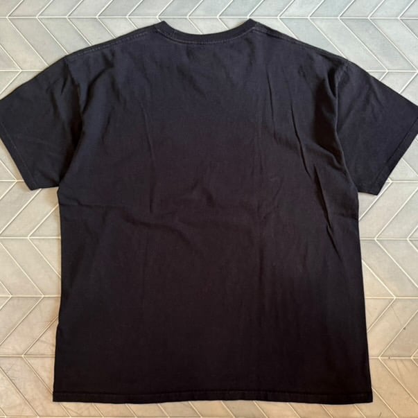 バットマン & ロビン Mr.フリーズの逆襲 プリントTシャツ | CUSTOM FEVER