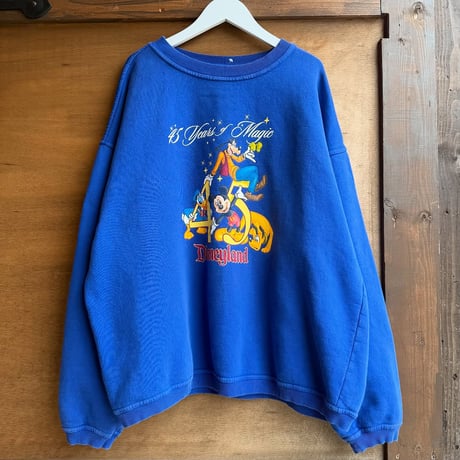 Disney 45周年 両面プリントスウェット