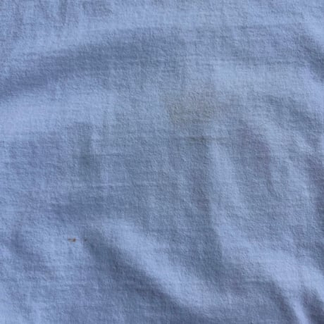 USA製 Walt Disney World ミッキー×プルート Tシャツ