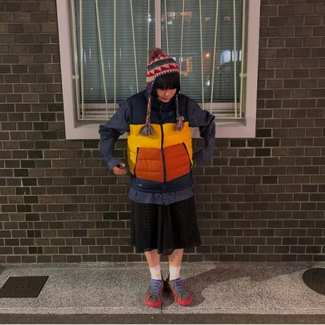 THE NORTH FACE ダウンベスト