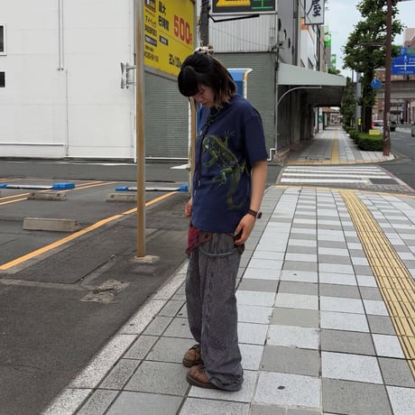 USA製 Hanes イグアナTシャツ