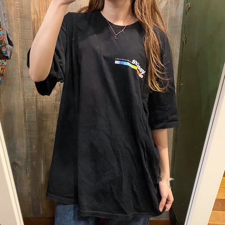 STUSSYワンポイントTシャツ