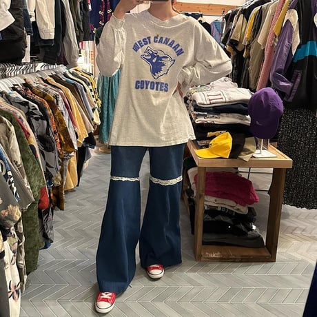 90年代USA製プリントロンT🐺