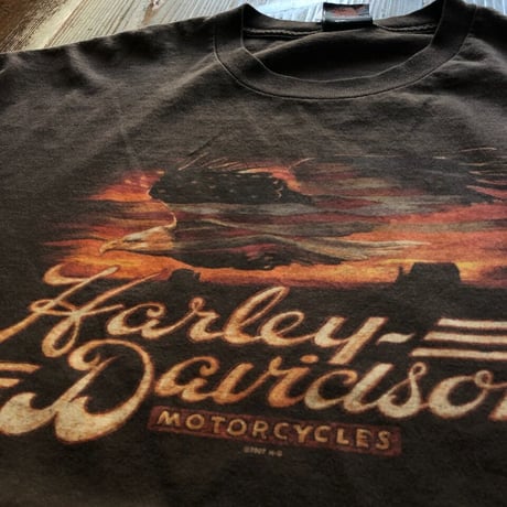 HARLEY DAVIDSON プリントT 2X