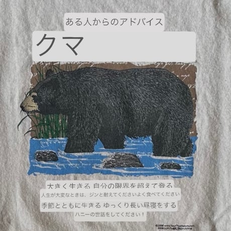 BEAR プリントＴシャツ