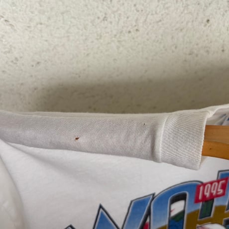 90s Hanes MLB ブレーブス　チャンピオンTシャツ