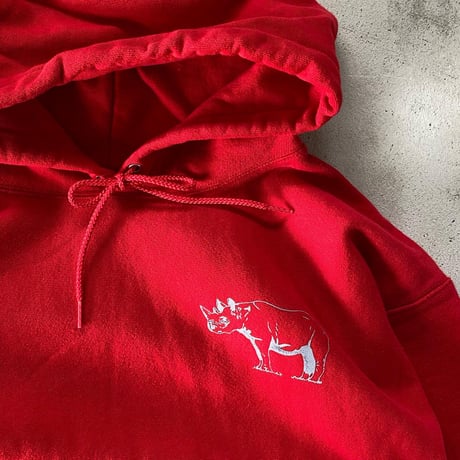 Champion REVERSE WAEVE hoodie