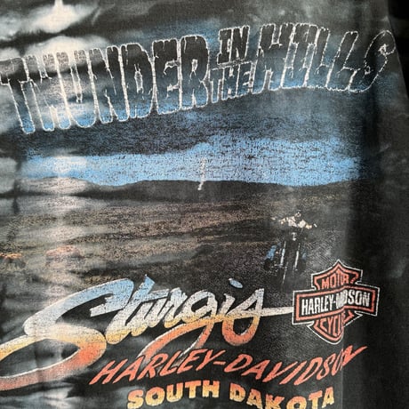 HARLEY DAVIDSON タイダイプリントT