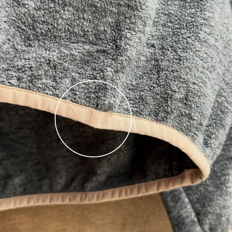 Patagonia シンチラ・スナップT